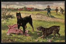 Ansichtskarte terrier weiterer gebraucht kaufen  Berlin