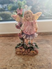 Little foxglove faerie for sale  HUDDERSFIELD
