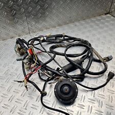 Kabelbaum hauptstrang elektron gebraucht kaufen  Nürnberg