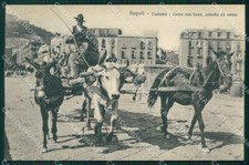 Napoli città costumi usato  Gambolo