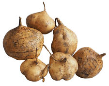 Capsule pueraria mirifica usato  Spedire a Italy