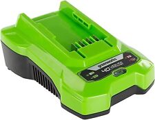 Greenworks caricatore carica usato  Massa