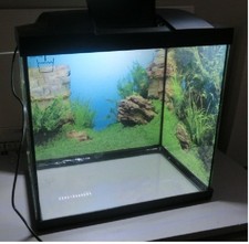 Aquarium litres accessoires d'occasion  Outarville