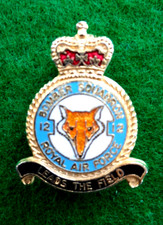 Squadron royal air for sale  LLANTWIT MAJOR