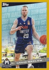 David barlow 2022 usato  Spedire a Italy