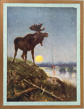 art elk print for sale art elk print for sale Alhambra
