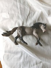Sleich andalusian stallion for sale  CROOK