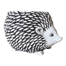 Harry david hedgehog for sale  Brandon