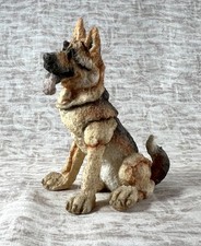 German shepard dog for sale  Burlington