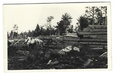 unused lumber for sale unused lumber for sale Cottage Grove