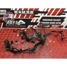 Faisceau électrique principal d'occasion  France