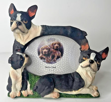 Boston terrier picture for sale  Clovis