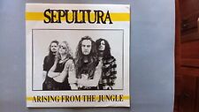 Sepultura giallo bootleg usato  Novara