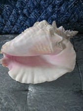 Extra large vintage for sale  UK