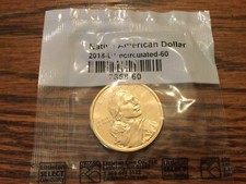 Moeda Sacagawea de 1 dólar não circulada “SEM DATA” ou “Marca em perfeito estado” rara! comprar usado  Enviando para Brazil
