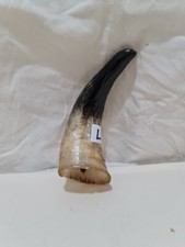 Cow horn crook for sale  STOKE-ON-TRENT