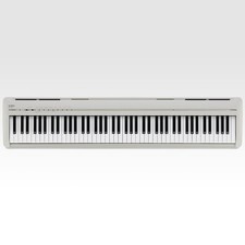 Kawai es120 key for sale  USA