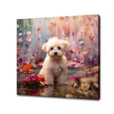 Cucciolo maltipoo cane usato  Spedire a Italy