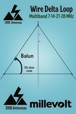 Antenna delta loop usato  Napoli