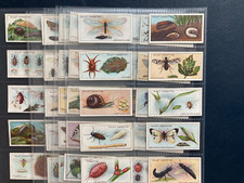 Cigarette cards garden for sale  SOUTH SHIELDS