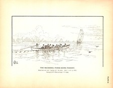Mackerel purse seine for sale  Saint Petersburg