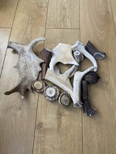 185g. wild antler for sale  LONDON