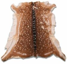 Axis deer skin for sale  Champlain