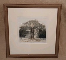Barry signed print for sale  Montpelier