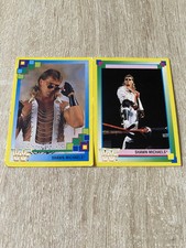 Shawn michaels wwf gebraucht kaufen  Schladen-Werla