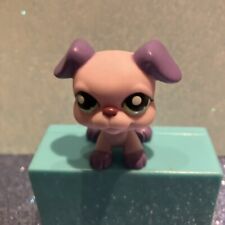 Petshop authentique chiot d'occasion  Cucq