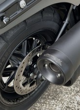 Screamin eagle harley gebraucht kaufen  Sigmaringen