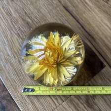 Hafod grange yellow for sale  ST. HELENS