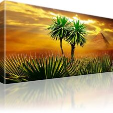 Afrika palmen vogel gebraucht kaufen Afrika palmen vogel gebraucht kaufen  Deutschland