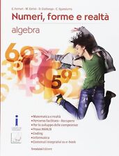 Numeri forme realtà usato  Fonte Nuova