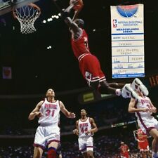 Bulls nets dec for sale  Yorkville