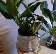 Buddha head cement for sale  Elizabeth