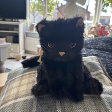 Cat black gold for sale  BENFLEET