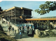 Corbier piscine d'occasion  Expédié en Belgium