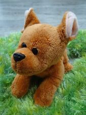 Kik hund chihuahua gebraucht kaufen  Kassel
