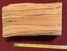 Spalted beech irregular for sale  KING'S LYNN