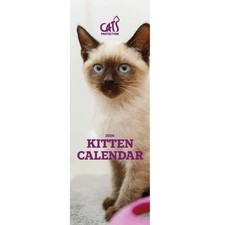Kittens calendar 2026 for sale  RADSTOCK