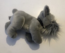 Gray schnauzer dog for sale  Carney