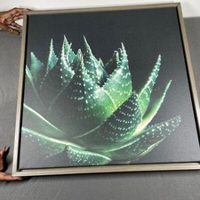 framed succulent wall art for sale  Ypsilanti