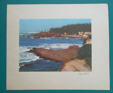 Oregon coast scenery for sale  Manassas