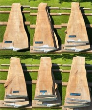 English elm air for sale  SALISBURY