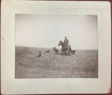 dogs horse photo for sale  Sand Springs