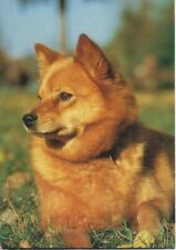 Carte postale ancienne d'occasion  Artenay