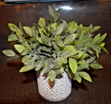 Artificial plant decoration for sale  Titusville