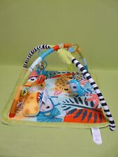 Fisher price hjw08 gebraucht kaufen  Coswig