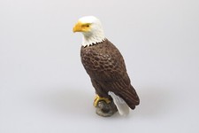 adler vogel gebraucht kaufen adler vogel gebraucht kaufen Körle